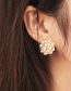 Fashion Gold Braided Braided Stud Earrings With Diamonds And Pearls In Copper