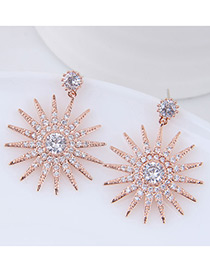 Fashion Rose Gold Flower Shape Design Earrings