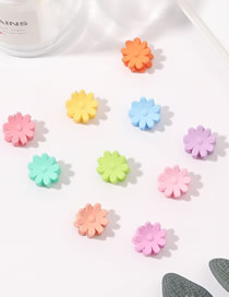 Fashion Frosted Flowers (10pcs) Plastic Frosted Flower Grip Set
